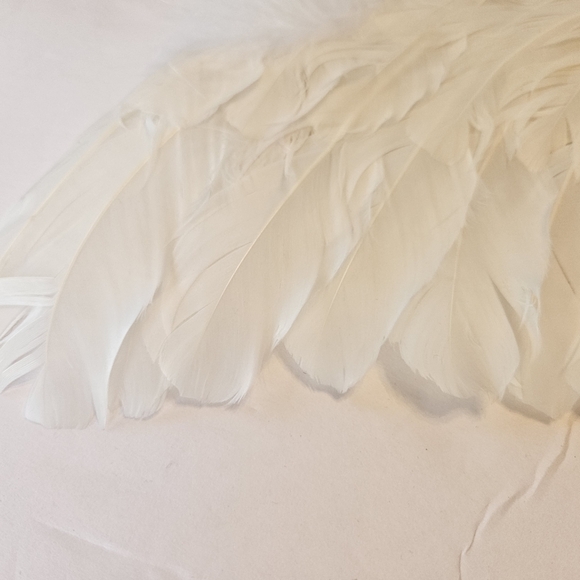 White feather wings - Picture 5 of 8